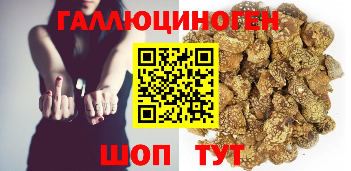Дальнегорск  как найти закладки  Псилоцибиновые грибы ЛСД  Вход с VPN  Галлюциногенные грибы Psilocybine cubensis 